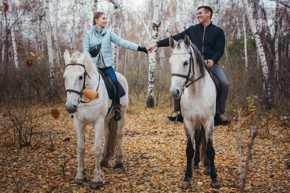 влюбленная пара на белых лошадях